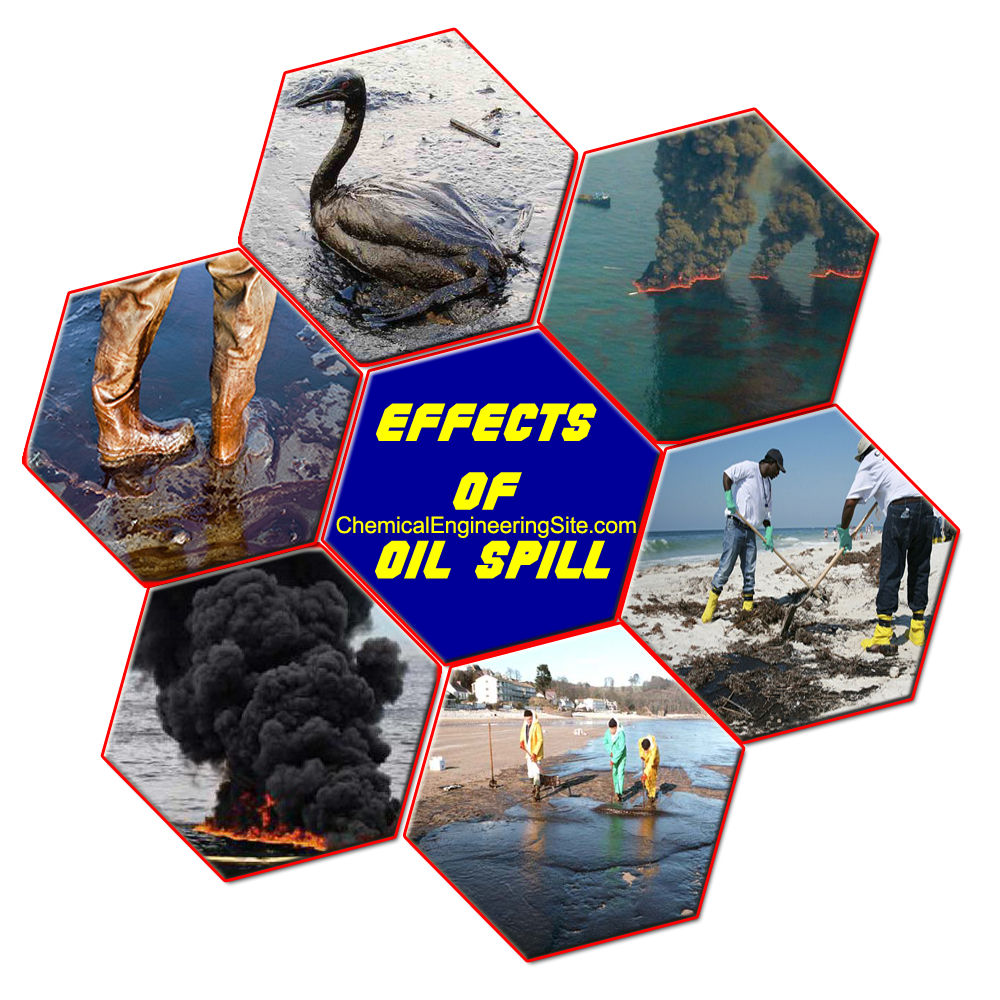 Oil Spill Effects and Cleanup Techniques Chemical Engineering Site